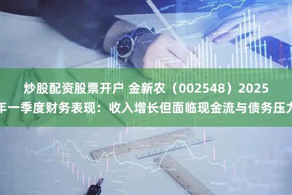 炒股配资股票开户 金新农（002548）2025年一季度财务表现：收入增长但面临现金流与债务压力